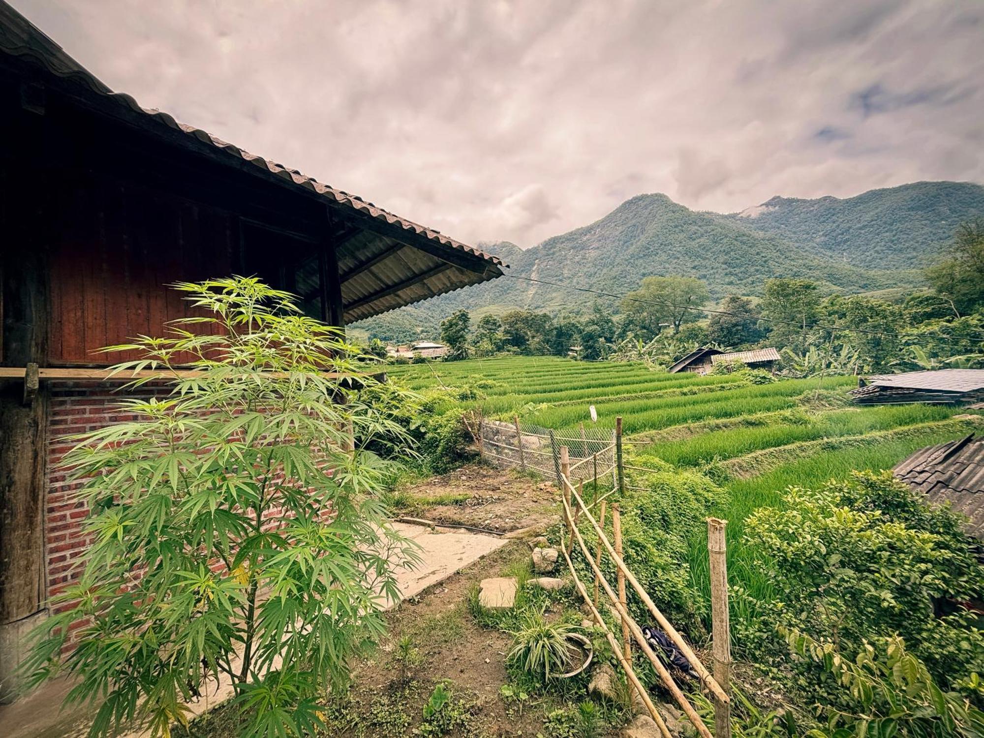 Sapa Tranquilla Apartment Bagian luar foto